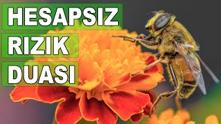 HESAPSIZ RIZIK DUASI  Çok etkili Rızık ve Bereket duası  Günlük Dualar  Göktuğ Tv [upl. by Hasila632]