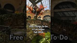 NOW OPEN Bellagio Las Vegas fall display 2024 [upl. by Enelav339]