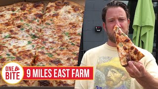 Barstool Pizza Review  9 Miles East Farm Saratoga Springs NY presented by Body Armor [upl. by Salzhauer205]