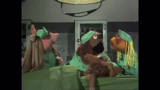 The Muppet Show  214 Elton John  Veterinarian’s Hospital Baskerville the Hound 1978 [upl. by Enilrem]