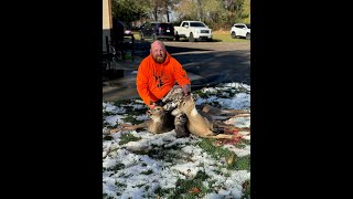 MINNESOTA 2024 DEER HUNT 2 DEER DOWN [upl. by Hgielram]