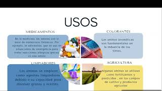 uso de las aminas [upl. by Reiss680]