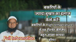 बकरियों में ज्यादा बुखार का सही इलाज bakariyo me high temperature treatment goat farming [upl. by Sirkin]