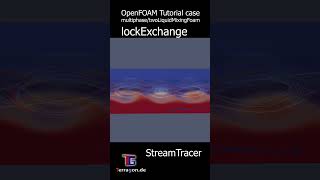 OpenFOAM CFD Tutorial case lockExchange StreamTracer  fluiddynamics fluidmechanics [upl. by Artekal]