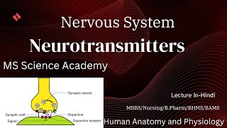 NeurotransmittersHuman Anatomy amp PhysiologyMBBSBpharmNursingLecture in Hindi [upl. by Aicilaf]