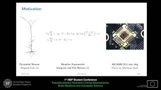 Student Session II Laura Kriener  Neuronal Dynamics Silicon vs Biology [upl. by Ahsemo]