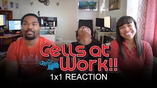 Cells at Work 1x1 GROUP REACTION [upl. by Douty]