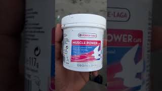 VERSELELAGA PRODUCT MUSCLE POWER FOR PIGEONS FEATHER pigeon kabootar verselelaga youtubevideo [upl. by Luapsemaj591]