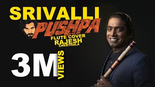 Srivalli Karaoke With Lyrics  HD Karaoke HindiTelugu Lyrics  Pushpa  Javed Ali Sid Sriram  DSP [upl. by Farant556]