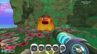 Slime Rancher Honey Gordo location [upl. by Ardnuek]