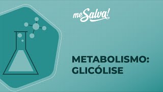 Metabolismo – Carboidratos II  Bioquímica  Me Salva Saúde [upl. by Ajnat]