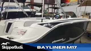 2022 Bayliner M17 Element Sport Boat Tour SkipperBuds [upl. by Gibert]