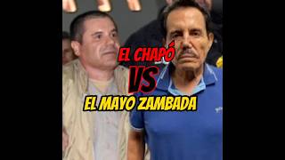 Chapó vs mayo narcos narcosmexico [upl. by Silyhp925]