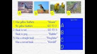 Using Dichotomous Keys [upl. by Hutton]