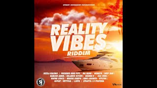 Reality Vibes Riddim MixFullPressure Busspipe Sizzla Iba Mahr Krytical amp more x Drop Di Riddim [upl. by Bolen505]