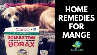 Home Remedies for Mange  Teds Famous Borax for Mange Treatment [upl. by Mariele370]