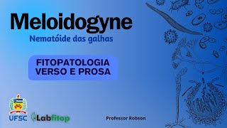 Meloidogyne  nematóide das galhas [upl. by Arhas574]