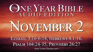 November 2  One Year Bible Audio Edition [upl. by Hayotal]