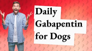 Is daily gabapentin safe for dogs [upl. by Ramon391]