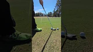 ez roll putting chipper not a chipping wedge [upl. by Alyahs]