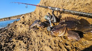 Catching Rockfish From Shore Using Squid [upl. by Heger]