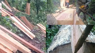 Cutting Wood By ChainsawWith My Friends at Three Days [upl. by Nugesulo]