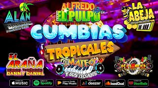 Cumbias Tropicales MEGA MIX  Tecladistas Para Bailar LAS MAS MOVIDAS PARA BAILAR [upl. by Petty]