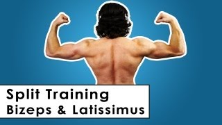 Bizeps amp Latissimus Split Trainingsplan für zu Hause  Kurzhantel Workout [upl. by Eilloh]