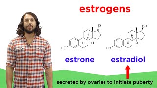 Lipids Part 2 Steroids [upl. by Alihet162]