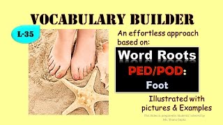 Word Roots Prefixes and Suffixes PED POD And Other Derived Words Vocabulary TV [upl. by Samella685]