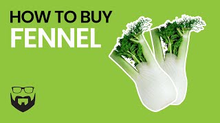 How to Buy Fennel [upl. by Leahcimnhoj855]