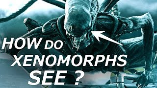 How Can Xenomorphs See  Sensory Organs Explained [upl. by Eggleston]