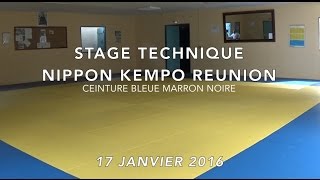 Stage technique Nippon Kempo bleue marron noire [upl. by Tichon]