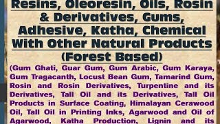 Formulation amp Process of Resins Oleoresin Rosin amp Derivative Chemical With Other Natural Product [upl. by Pattison]