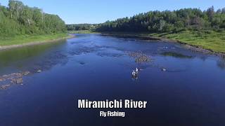 Miramichi River Fly Fishing [upl. by Stelle]