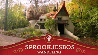 Efteling Walkthrough  Sprookjesbos [upl. by Earle]