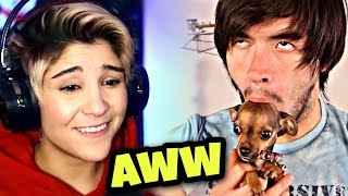 LauGamer REACCIONA ➡️ HolaSoyGerman [upl. by Loralie]