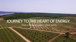 Journey to the heart of Energy  How a biomass power plant works [upl. by Anesuza]