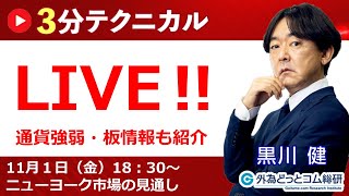 見通しズバリ！3分テクニカル分析「ライブ‼」 NY市場の見通し 2024年11月1日 [upl. by Cortney17]