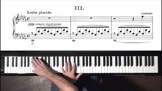 Liszt Consolation No3  P Barton FEURICH 218 piano [upl. by Bone462]