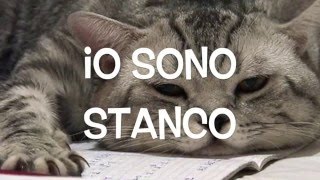 Italian Lesson n10  stati danimo e fisici  feelings [upl. by Aleemaj947]