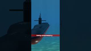 Submarine launched Ballistic Missile [upl. by Harima583]