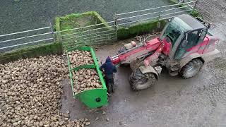 Beet Chopping Bucket  Cross Agricultural Engineering [upl. by Comyns]