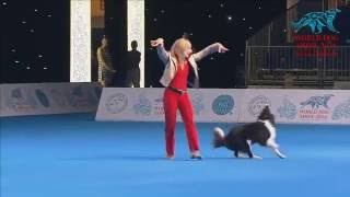 FCI Dog dance World Championship 2016 – Winner freestyle  Yvonne Belin and Alice Switzerland [upl. by Suraved]