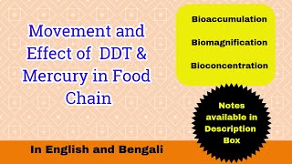 Movement of DDT and Mercury in Food Chain Effect of DDT and Mercury Toxicology Part6 [upl. by Weksler]