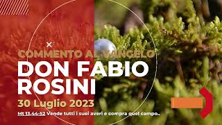 don Fabio Rosini  Commento al Vangelo di domenica 30 Luglio 2023 [upl. by Enetsirk]