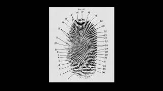 Introduction What are Fingerprints [upl. by Lan]