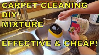 The WORLDS BEST DIY Carpet Cleaning Solution Mixture EFFECTIVE amp CHEAP [upl. by Ytsirt]