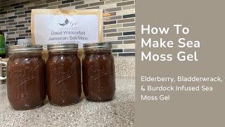 How to Make Seamoss Gel infused with Elderberry Bladderwrack amp Burdock Root Tea  Gut Health [upl. by Intyre]