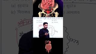 The appendix biology science shorts education body humanbody [upl. by Peednus]